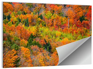 Vermont Mountains Foliage Wall Art