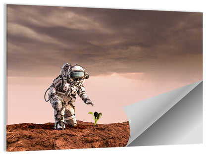 Mars Life Concept Wall Art