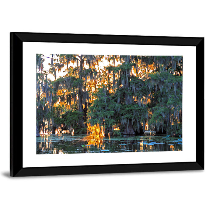 Lake Martin Cypress Reflection Wall Art as a framed print