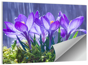 Blue Crocuses Wall Art