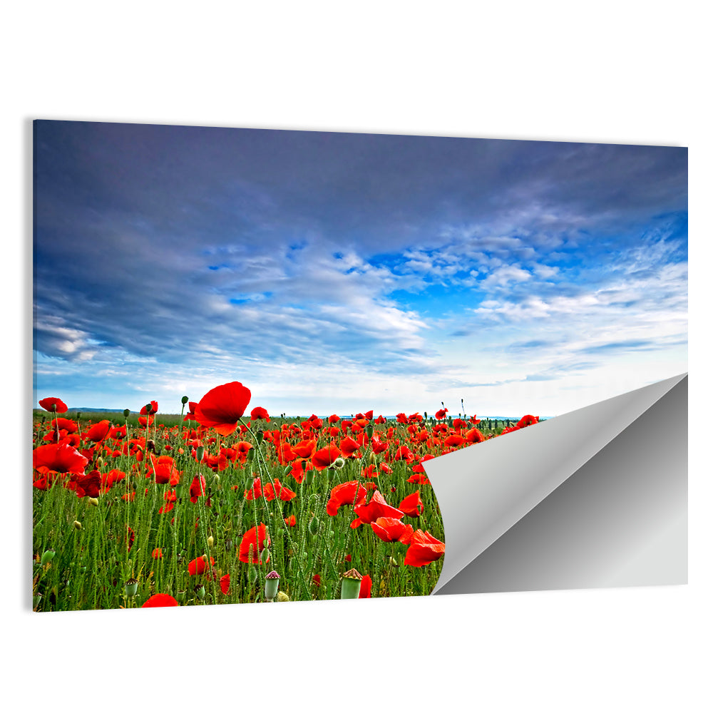 Red Poppy Field Wall Art, poster print, landscape