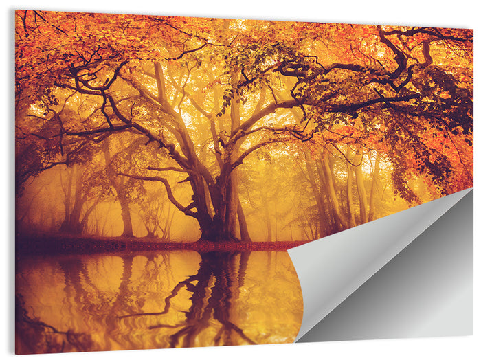Golden Mist Forest Reflection Wall Art as a poster print