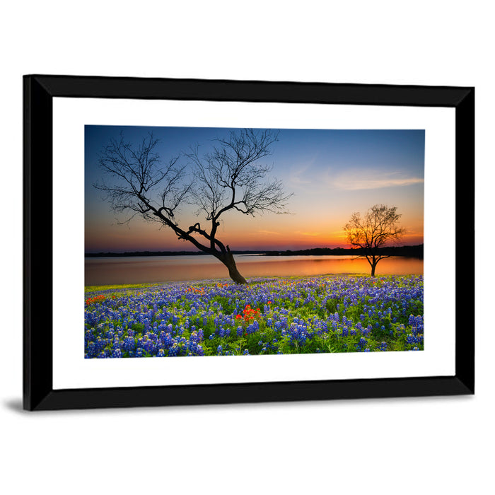 Texas Bluebonnet Sunset Wall Art as a framed print