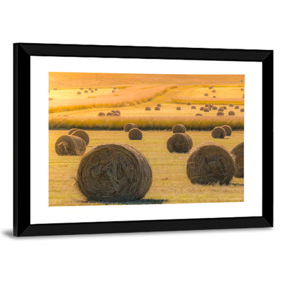 Hay Bales Field Wall Art