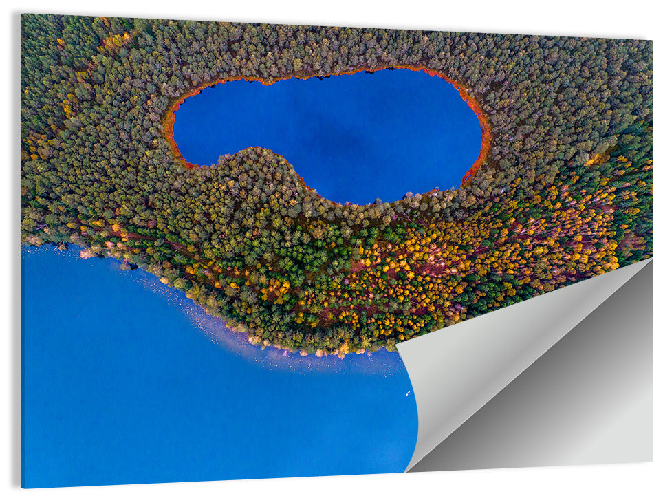 Autumn Forest Lake Wall Art