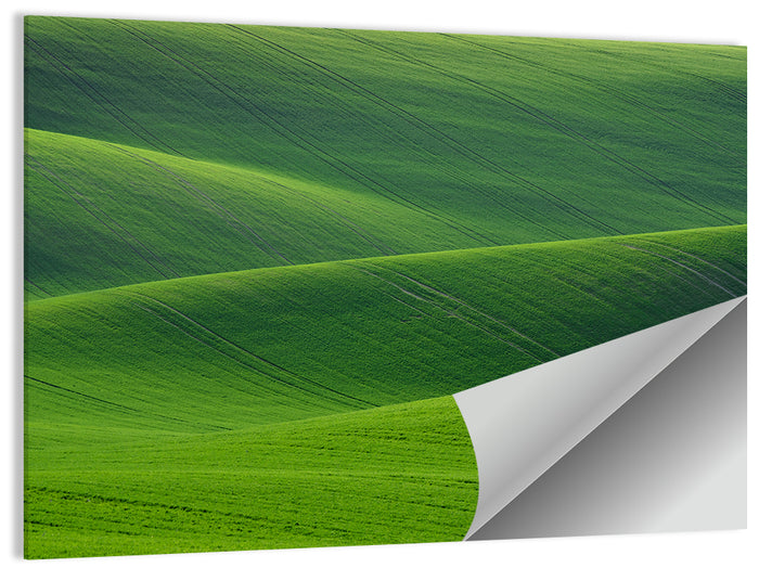 Rolling Emerald Wheat Fields Wall Art as a poster print