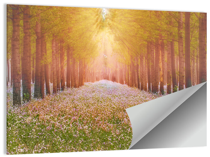 Golden Morning Forest Path Wall Art as a poster print
