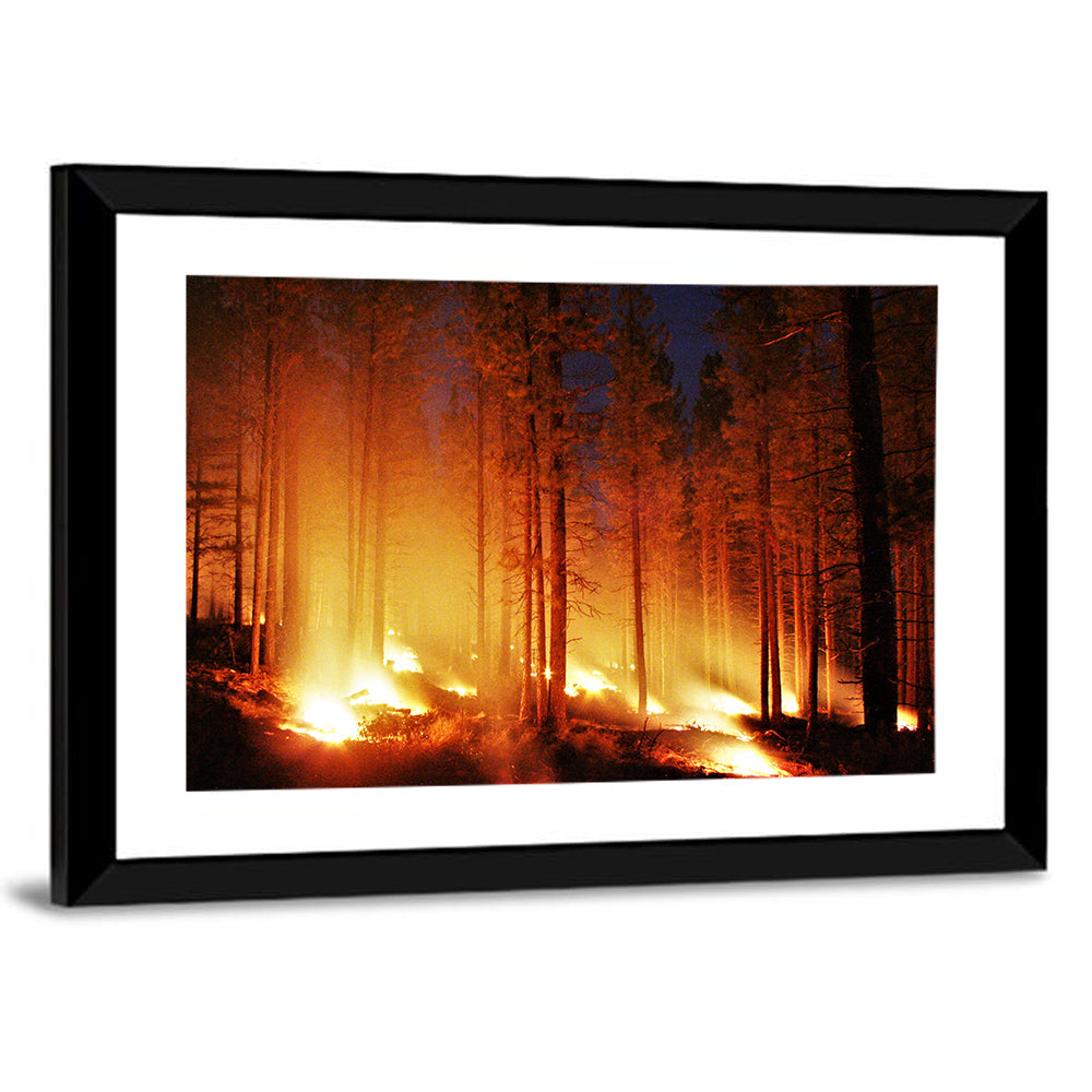 Night Forest Fire Wall Art