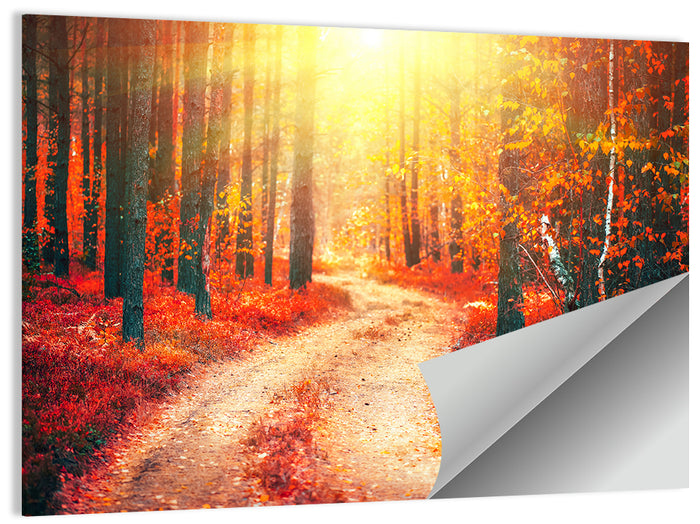 Golden Path Through Autumn Woods Wall Art as a poster print
