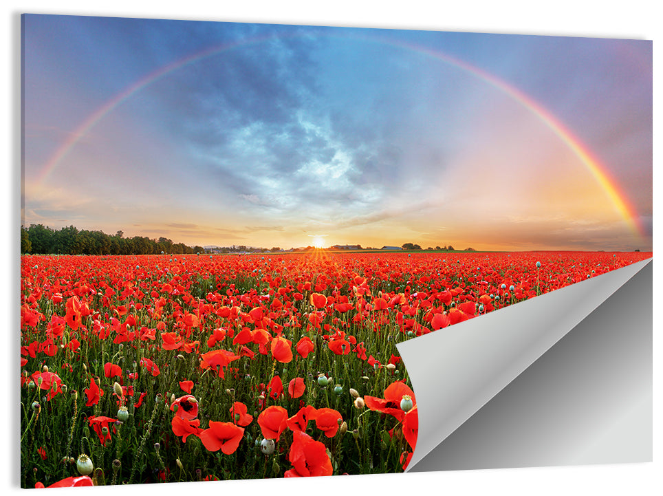 Poppy Field Wall Art