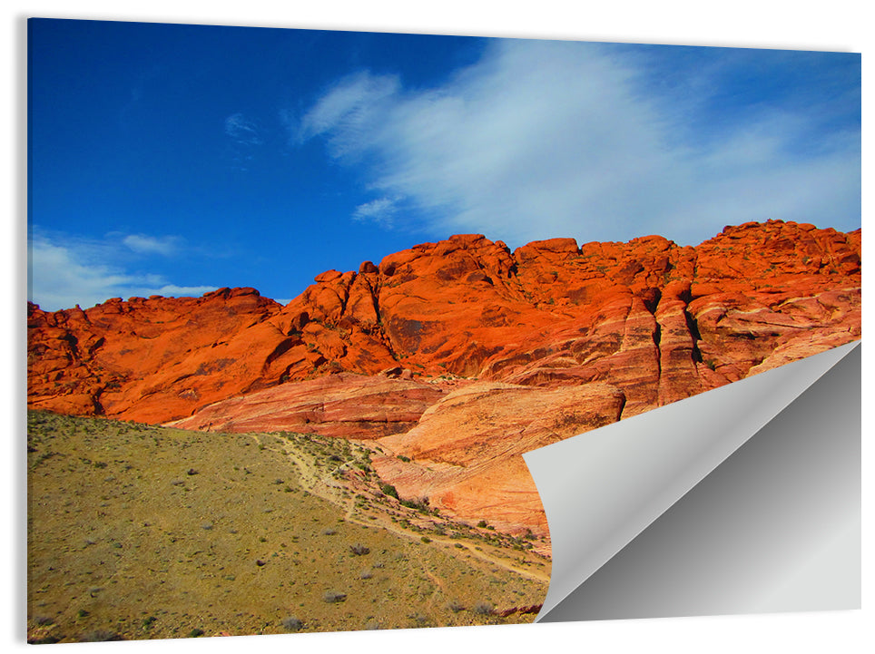 Red Rock Canyon Trail Wall Art