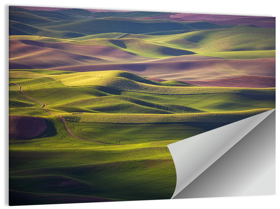 Palouse Farmland at Golden Hour Wall Art