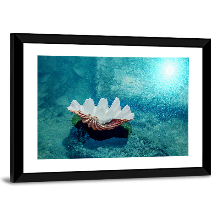 Giant Clam Shell Wall Art as a framed print