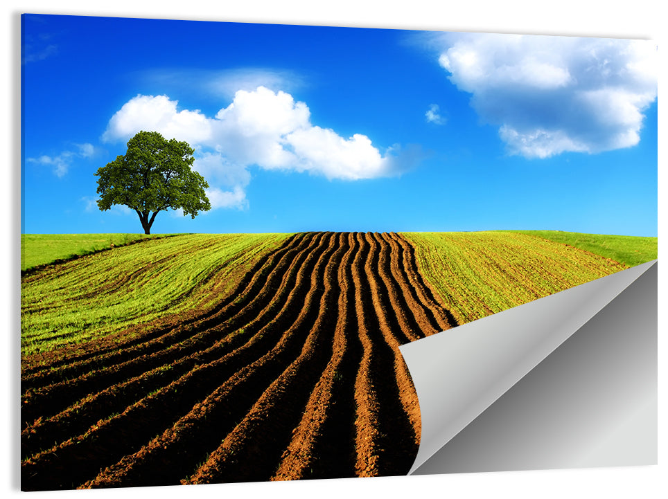 Plowed Field with Lone Tree Wall Art