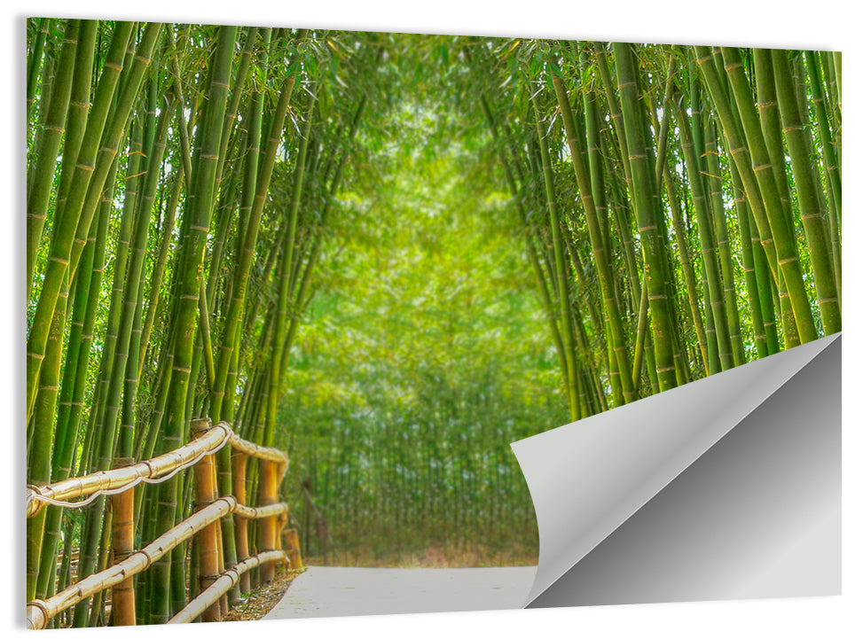 Bamboo Alley Wall Art