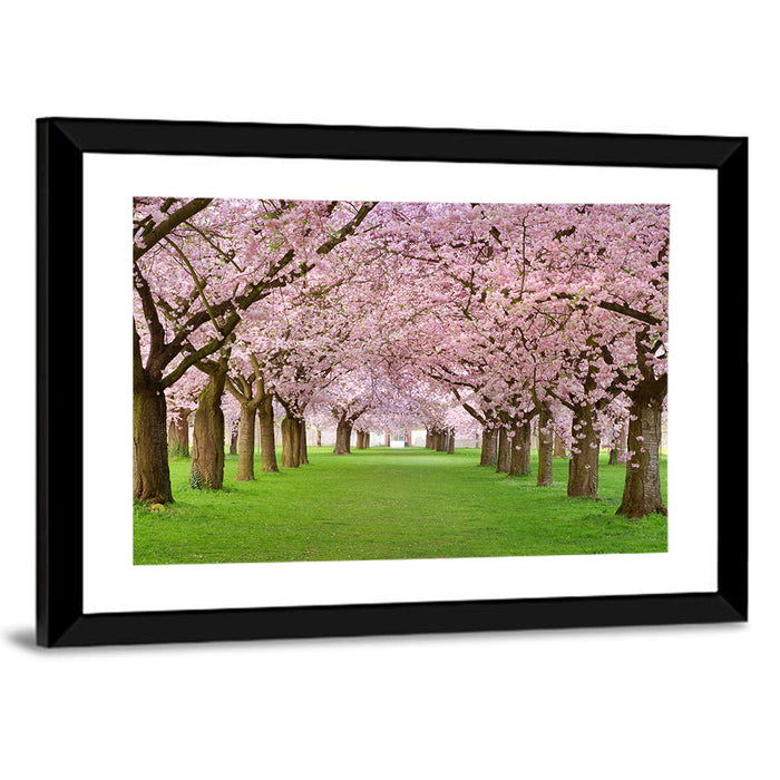 Cherry Blossom Avenue Wall Art as a framed print