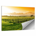 Barossa Valley Vineyard at Sunrise Wall Art