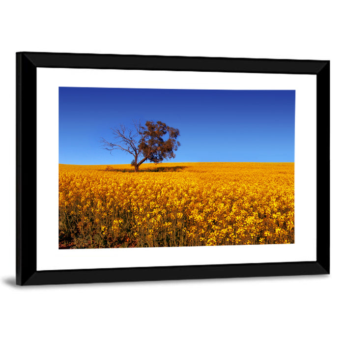 Canola Field with Lone Tree Wall Art as a framed print