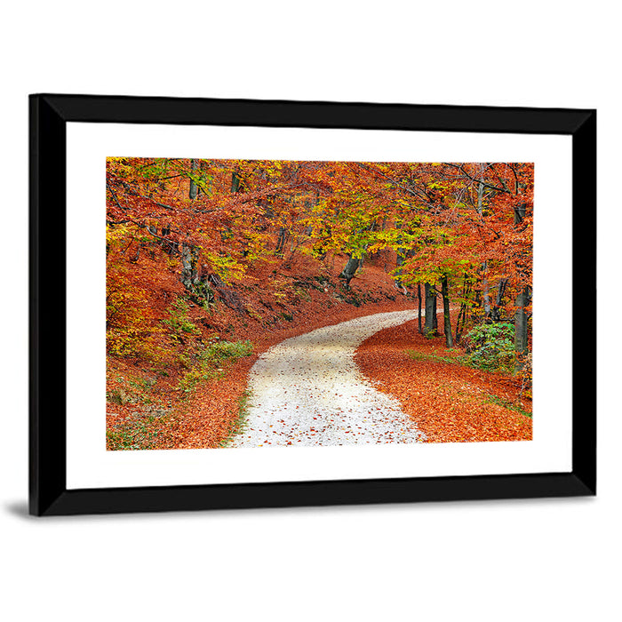 Misty Gravel Path Through Autumn Trees Wall Art as a framed print