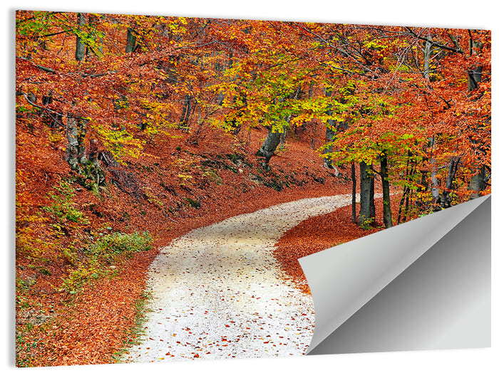 Misty Gravel Path Through Autumn Trees Wall Art as a poster print
