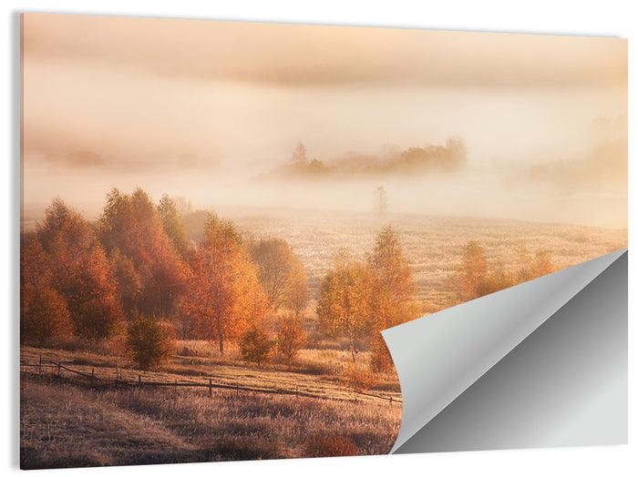 Autumn Morning Horse Silhouette Wall Art as a poster print