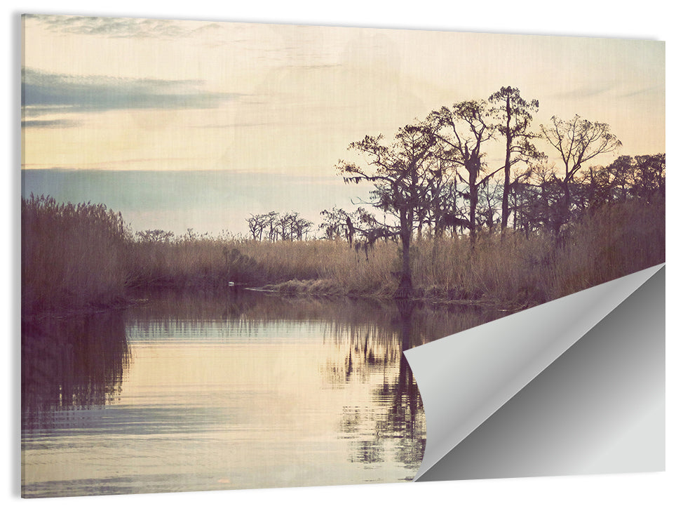 Louisiana Cypress Swamp at Dusk Wall Art
