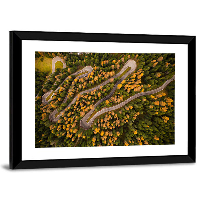 Aerial Curvy Forest Road Wall Art as a framed print