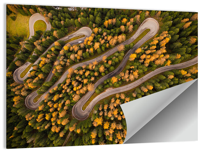 Aerial Curvy Forest Road Wall Art as a poster print