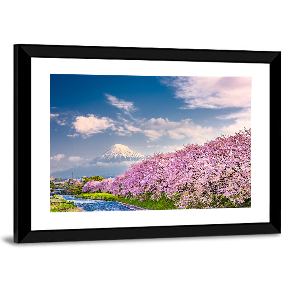 Mount Fuji Cherry Blossoms Wall Art
