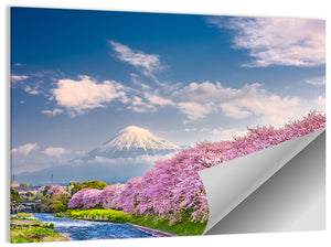Mt Fuji Spring Wall Art