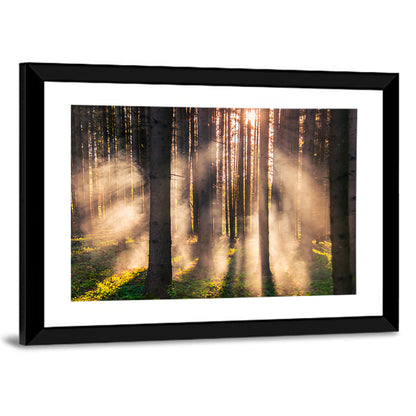 Misty Forest Sunrise Wall Art