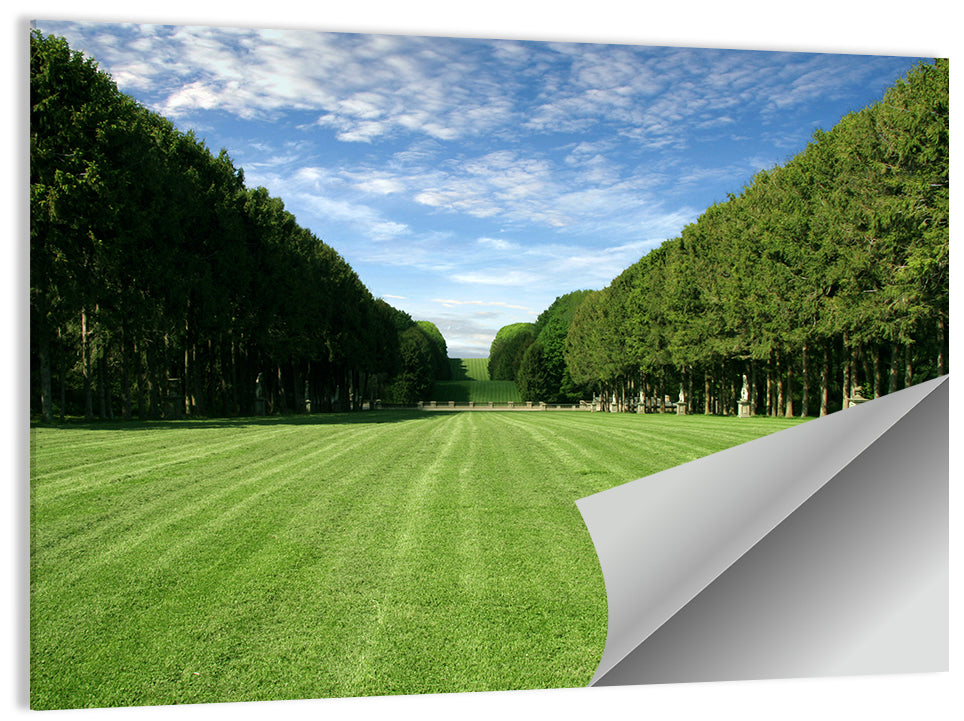 Tree-lined Manicured Lawn Wall Art