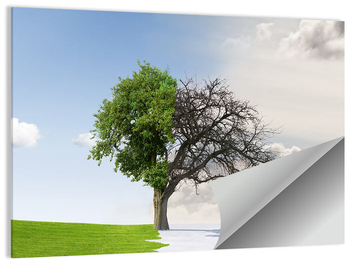Summer to Winter Split Tree Wall Art as a poster print
