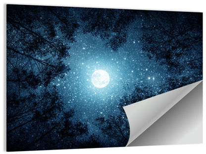 Full Moon Night Wall Art