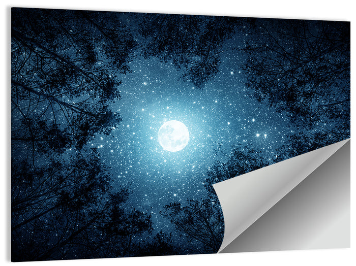 Full Moon Over Forest Wall Art as a poster print