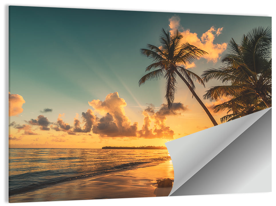 Golden Hour Palm Beach Sunset Wall Art