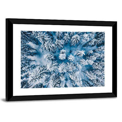 Aerial Snowy Forest Wall Art