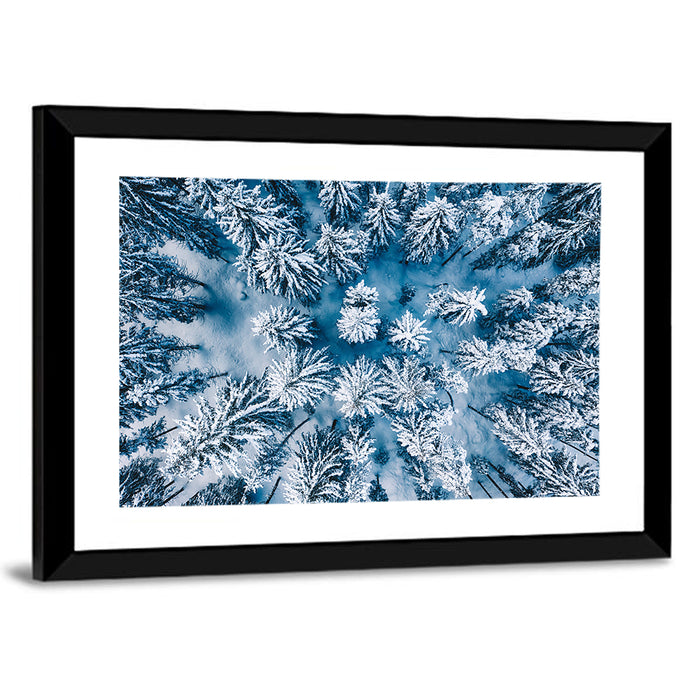 Aerial Snowy Evergreen Canopy Wall Art as a framed print