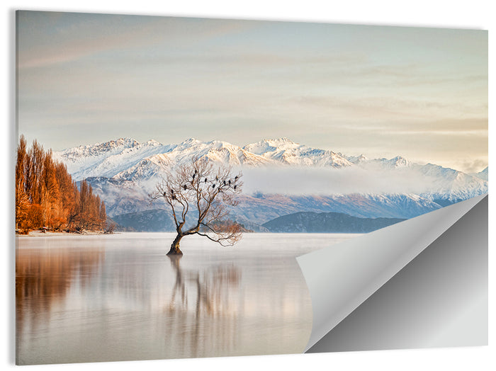 That Wanaka Tree, Lake Wanaka Wall Art as a poster print