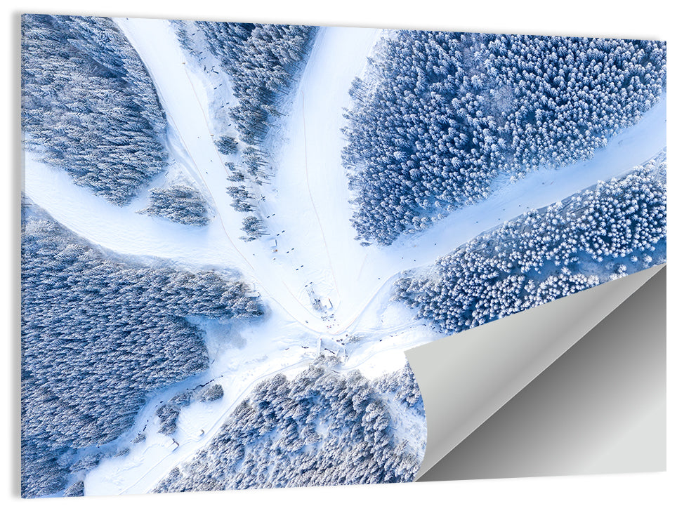 Birds-eye Ski Resort Landscape Wall Art