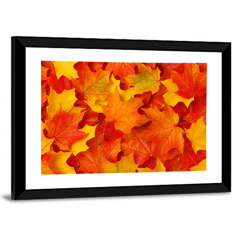 Autumn Maple Leaves Wall Art