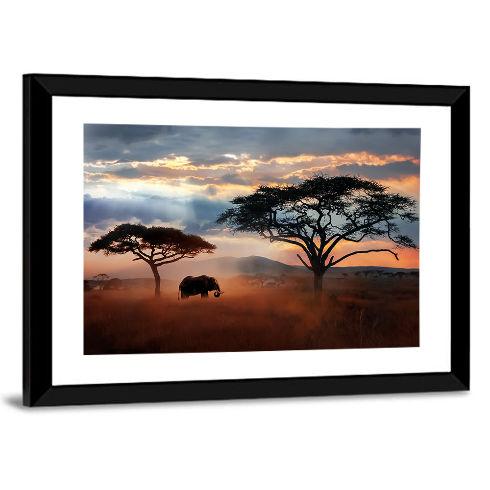 Savanna Elephant at Sunset Wall Art