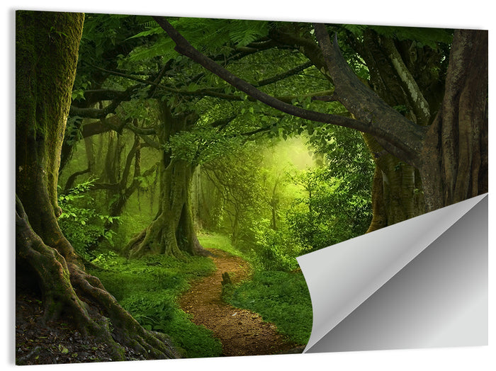 Tropical Forest Path Wall Art as a poster print