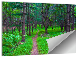 Virginia Forest Trail Wall Art