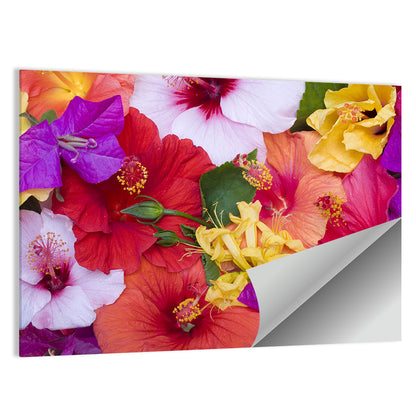 Bougainvillea And Hibiscus Flowers Wall Art