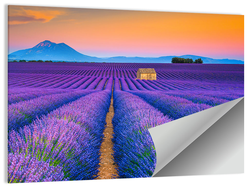 Lavender Fields Provence Wall Art