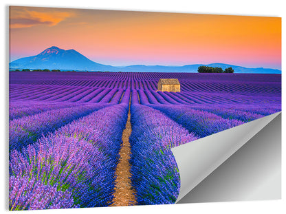 Lavender Fields Provence Wall Art