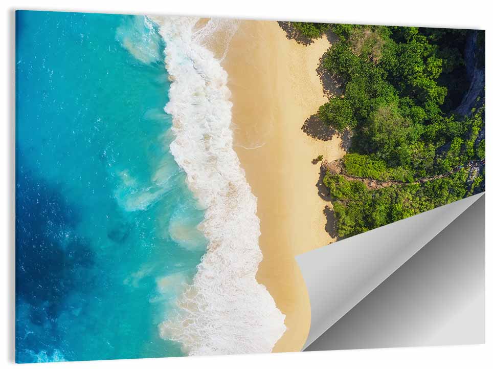 Aerial Turquoise Beach View Wall Art