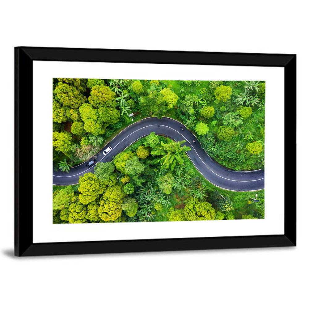 Winding Tropical Forest Road Wall Art
