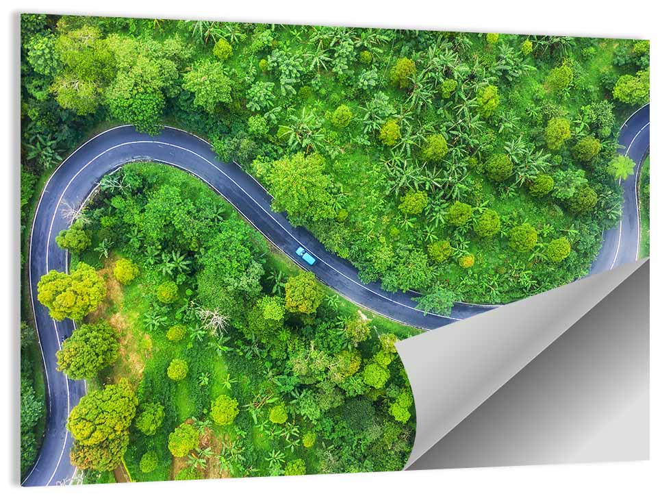Blue Car on Summer Forest Road Wall Art, poster print, landscape